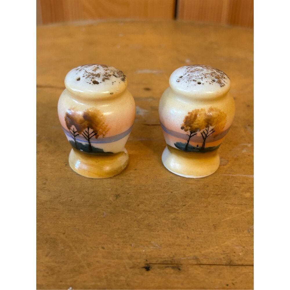 Vintage Hand Painted Salt And Pepper Shakers Made In Japan (8558)